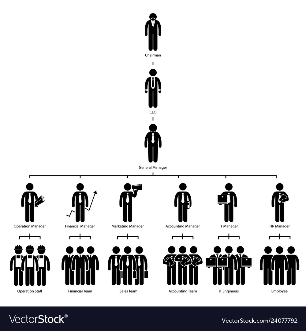 organización de la empresa