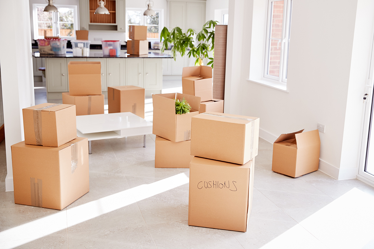 cajas embaladas para mudanza