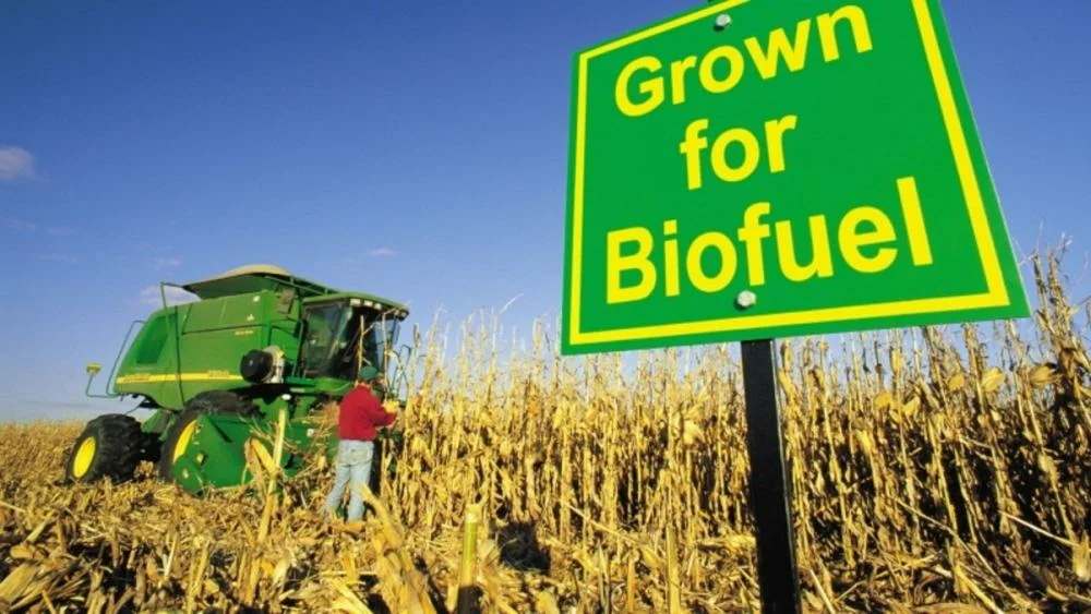 Qué son los biocombustibles y cuáles son sus ventajas y desventajas