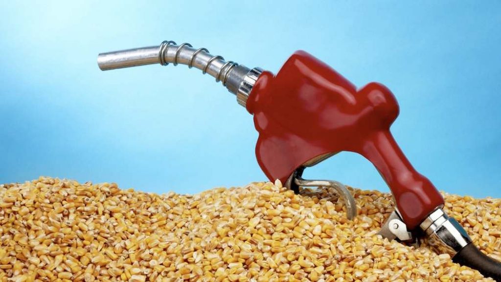 Qué son los biocombustibles y cuáles son sus ventajas y desventajas