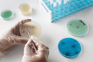 muestras biológicas